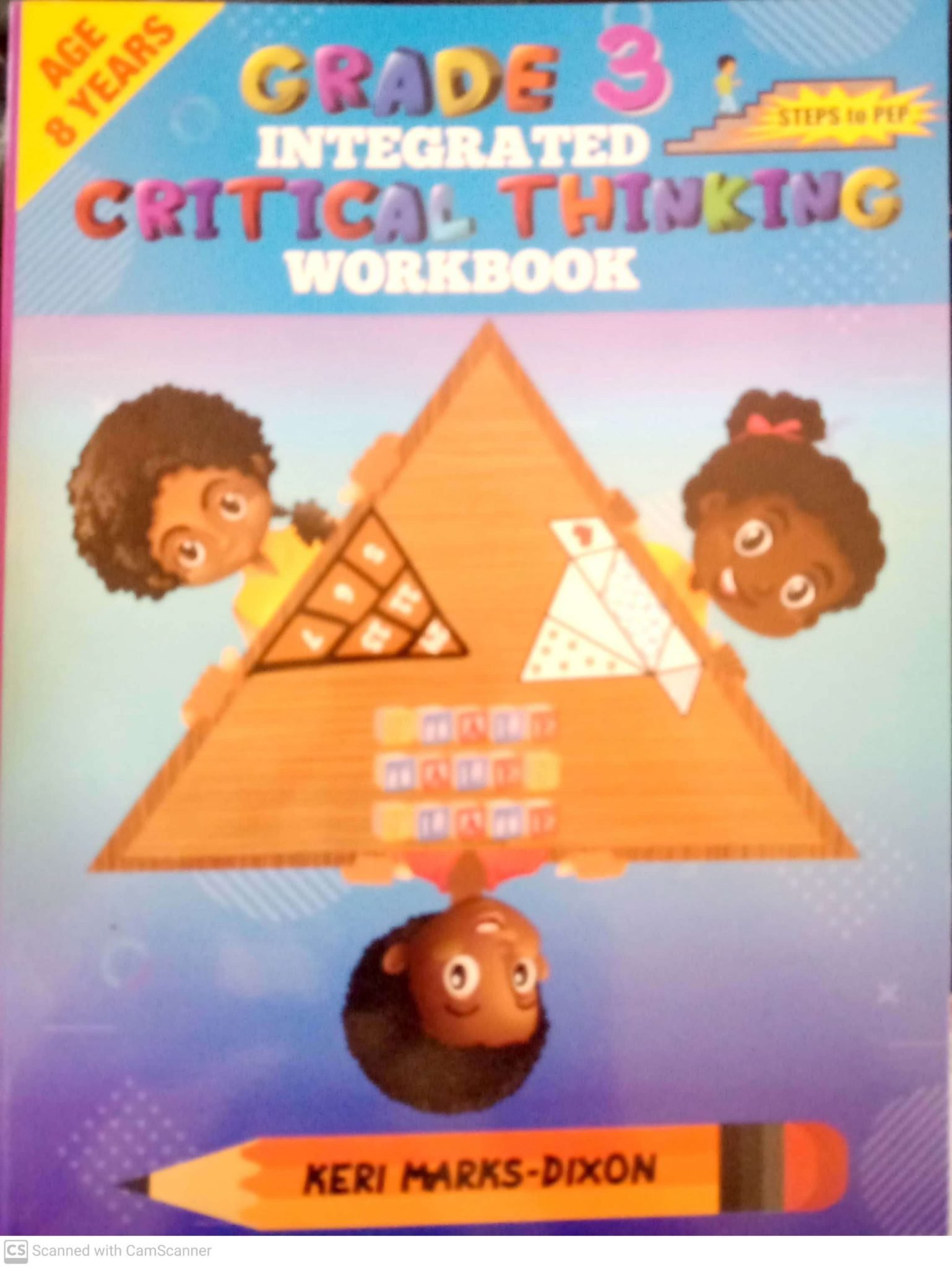 grade three 3 integrated critical thinking workbook